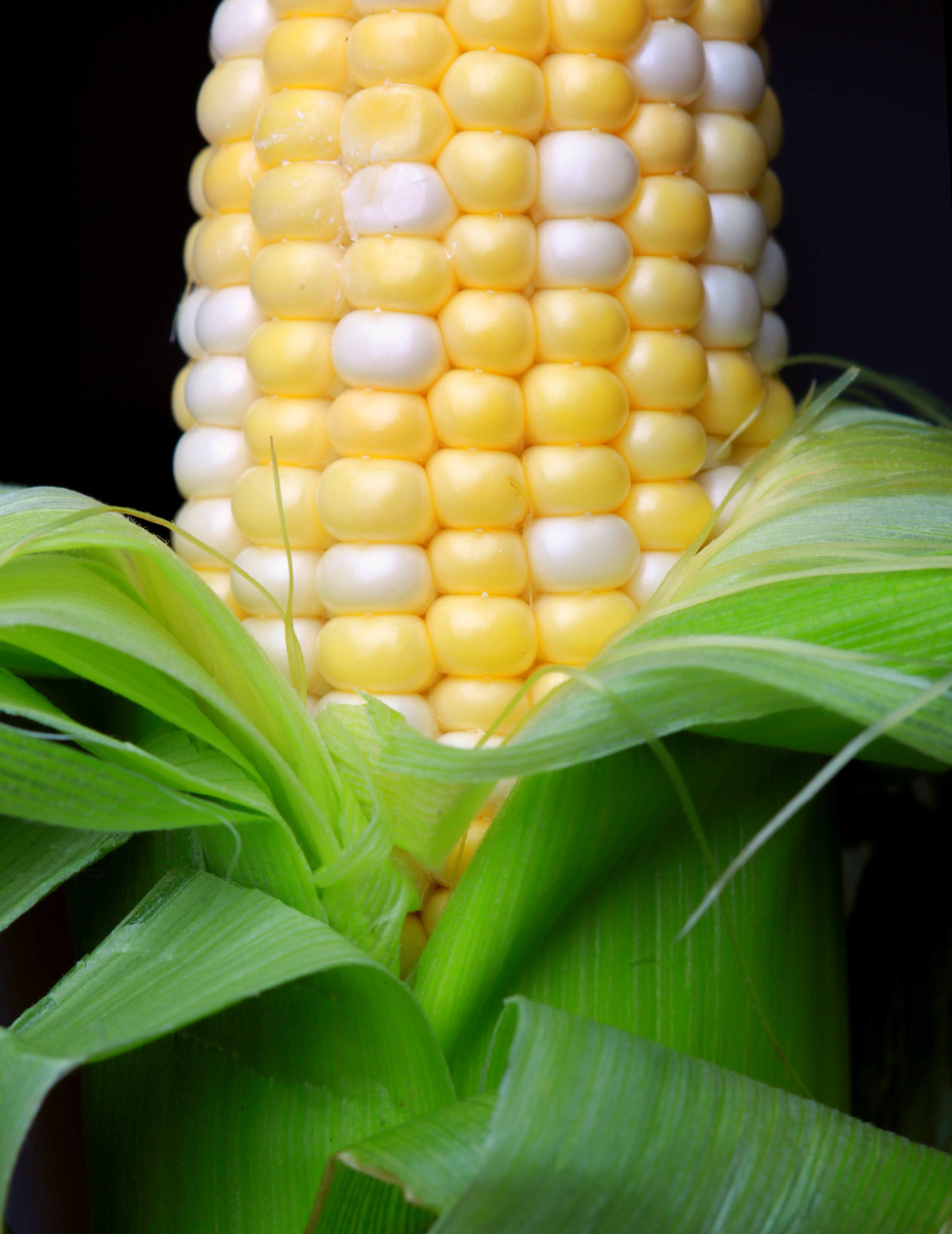 Sweet Corn Festival 2